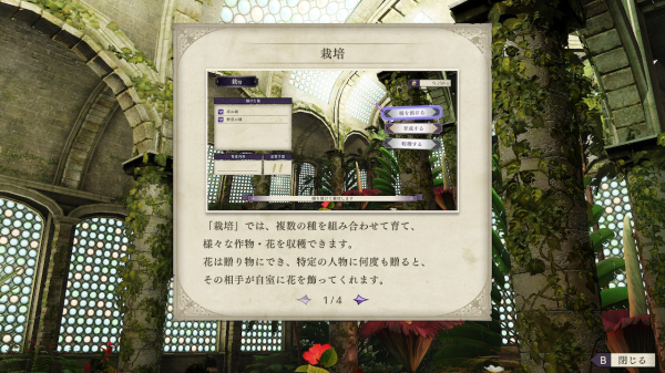 栽培で植物を育ててもOK